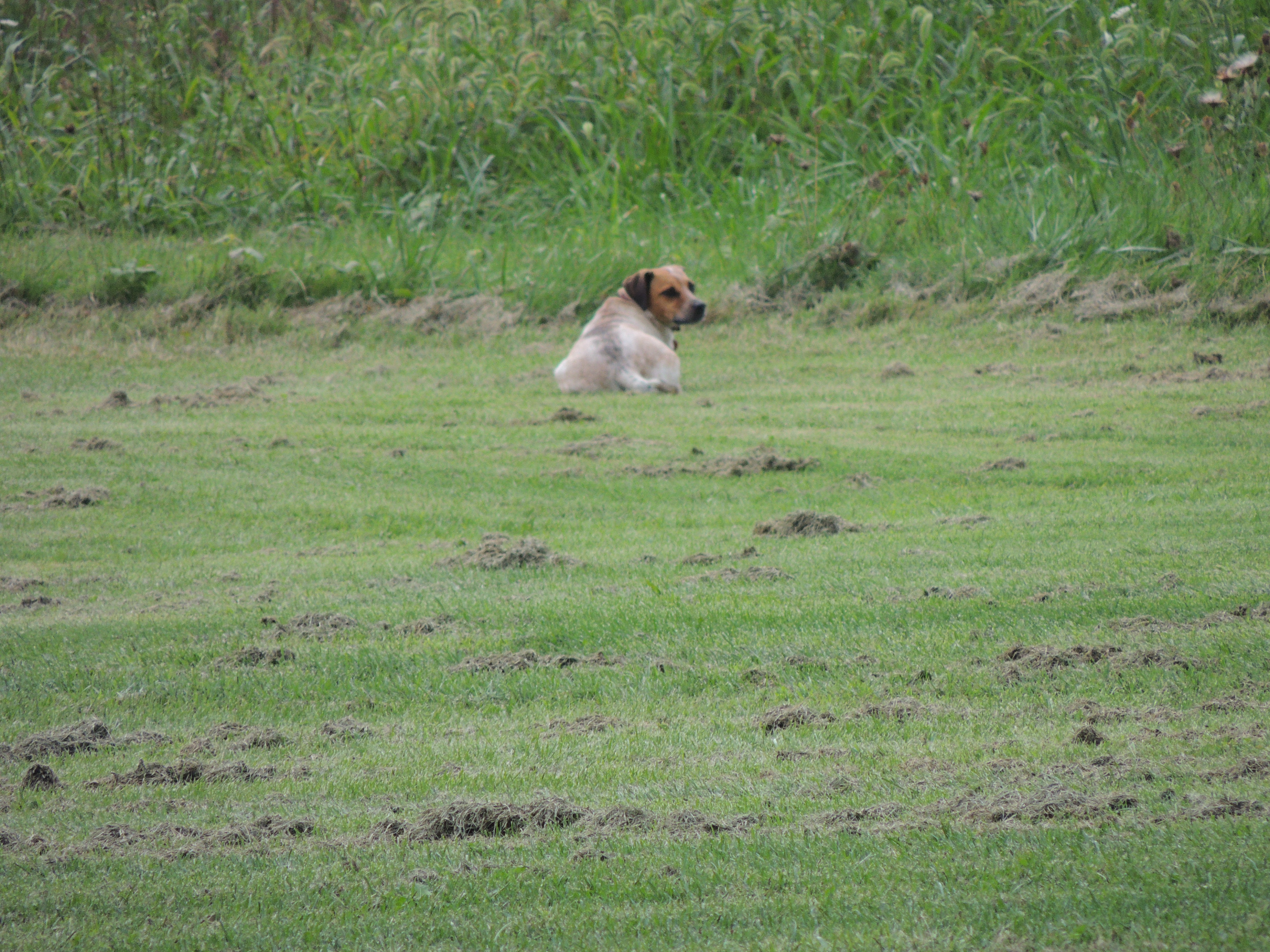 Image33